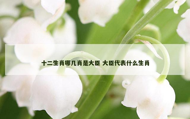 十二生肖哪几肖是大臣 大臣代表什么生肖