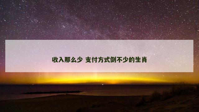 收入那么少 支付方式倒不少的生肖