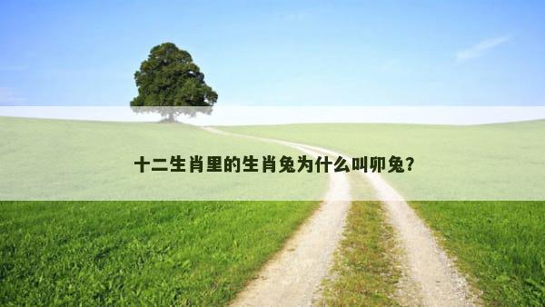 十二生肖里的生肖兔为什么叫卯兔？