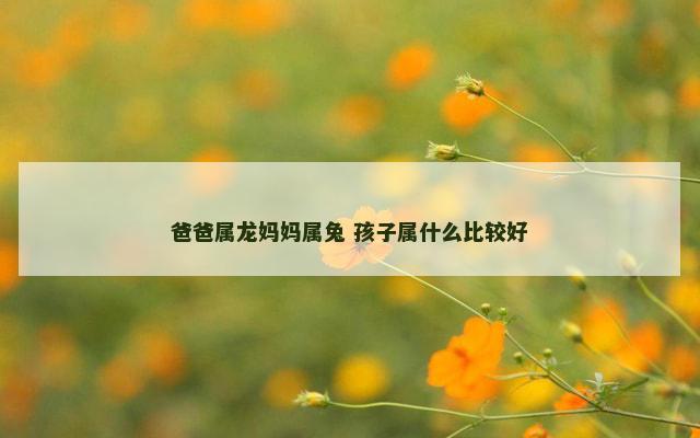 爸爸属龙妈妈属兔 孩子属什么比较好
