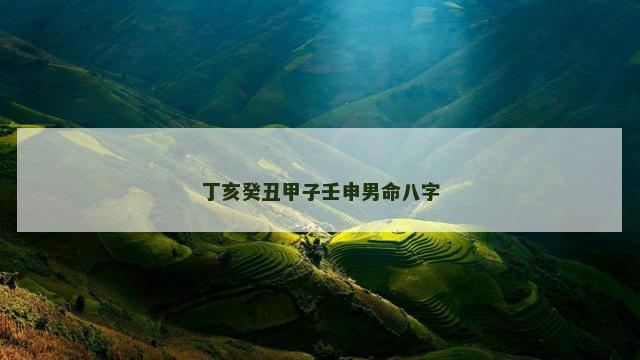 丁亥癸丑甲子壬申男命八字