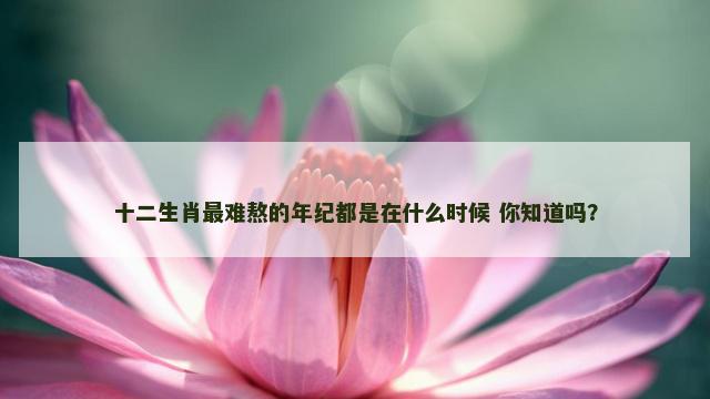 十二生肖最难熬的年纪都是在什么时候 你知道吗？