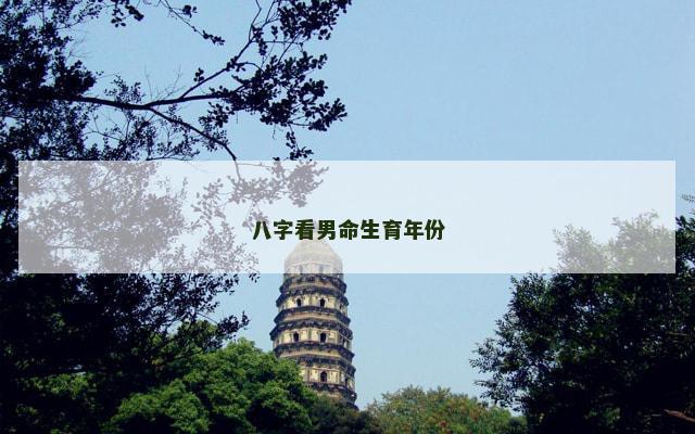 八字看男命生育年份