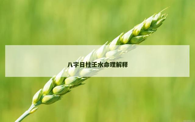 八字日柱壬水命理解释