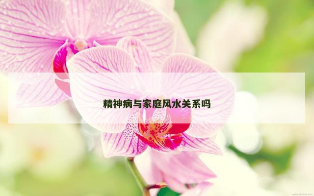 精神病与家庭风水关系吗