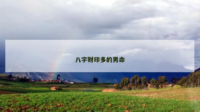 八字财印多的男命