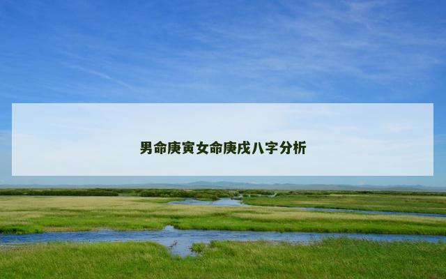 男命庚寅女命庚戌八字分析