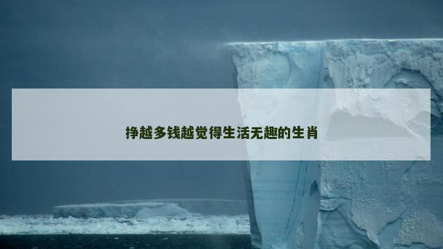 挣越多钱越觉得生活无趣的生肖