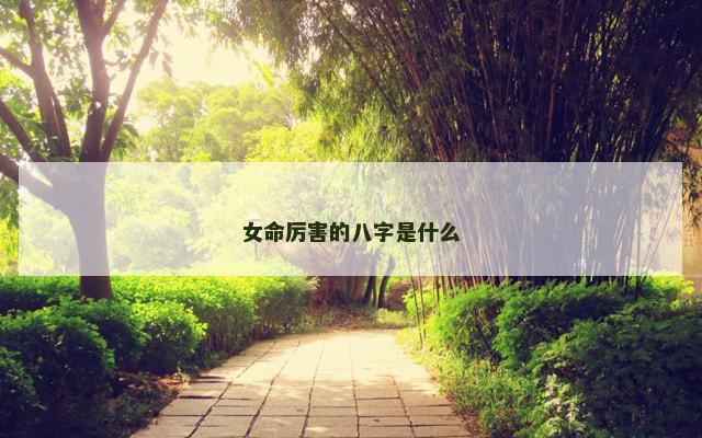女命厉害的八字是什么