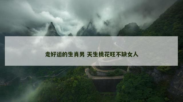 走好运的生肖男 天生桃花旺不缺女人