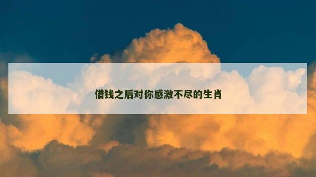 借钱之后对你感激不尽的生肖