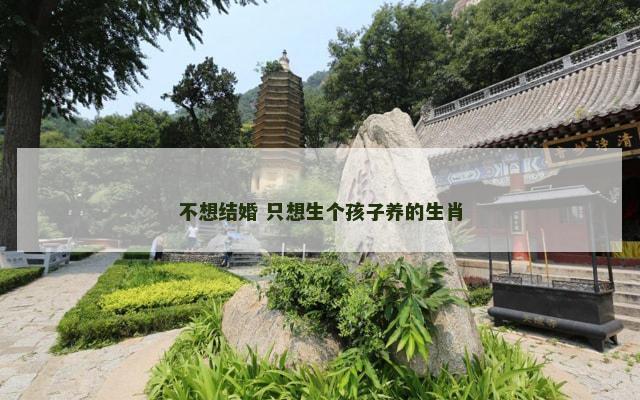 不想结婚 只想生个孩子养的生肖