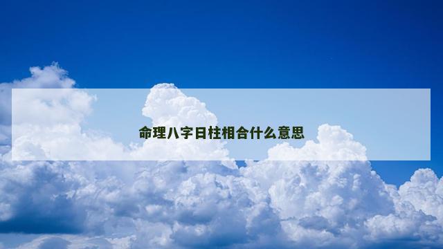 命理八字日柱相合什么意思