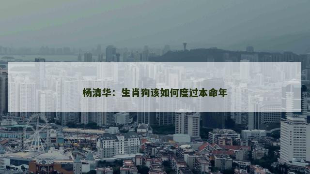 杨清华：生肖狗该如何度过本命年