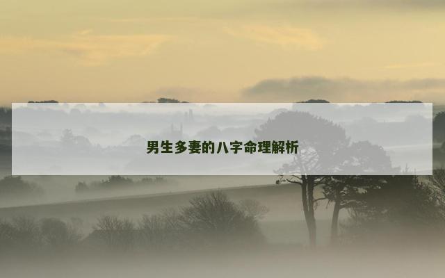男生多妻的八字命理解析