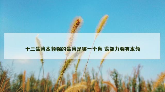 十二生肖本领强的生肖是哪一个肖 龙能力强有本领