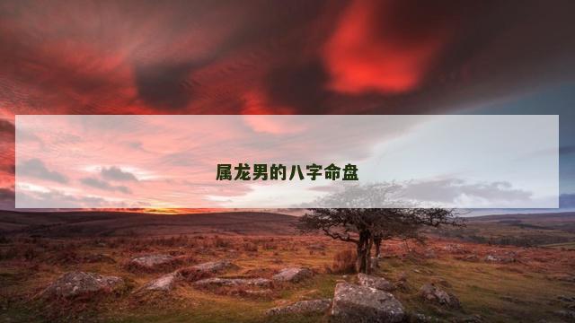 属龙男的八字命盘