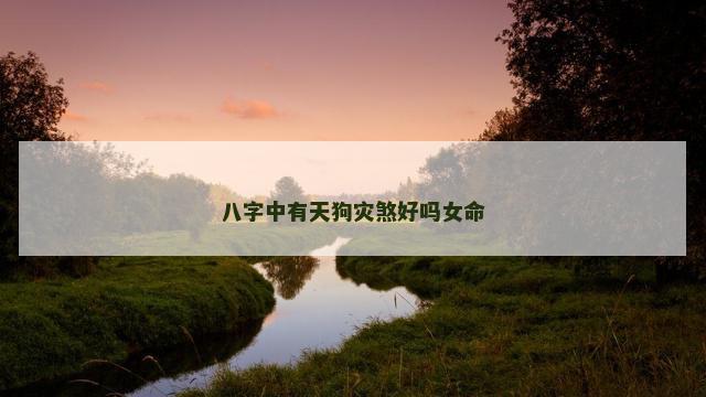 八字中有天狗灾煞好吗女命