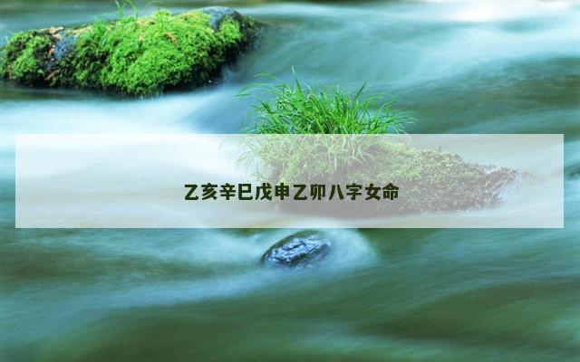 乙亥辛巳戊申乙卯八字女命
