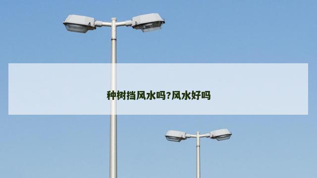 种树挡风水吗?风水好吗