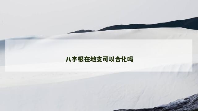 八字根在地支可以合化吗