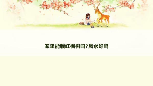 家里能栽红枫树吗?风水好吗