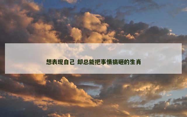 想表现自己 却总能把事情搞砸的生肖