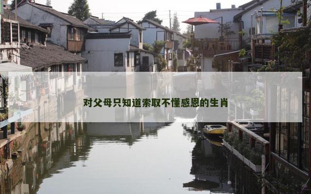 对父母只知道索取不懂感恩的生肖