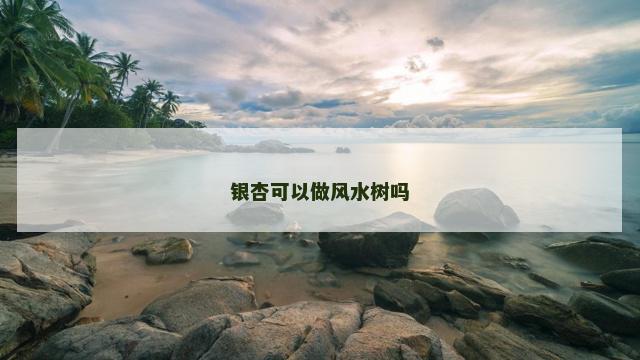 银杏可以做风水树吗