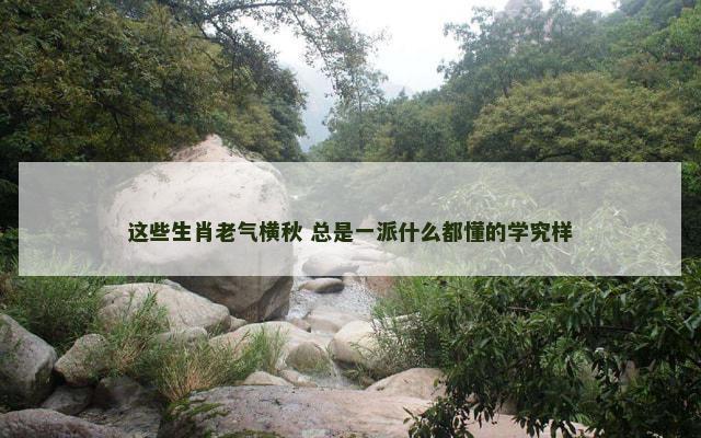 这些生肖老气横秋 总是一派什么都懂的学究样