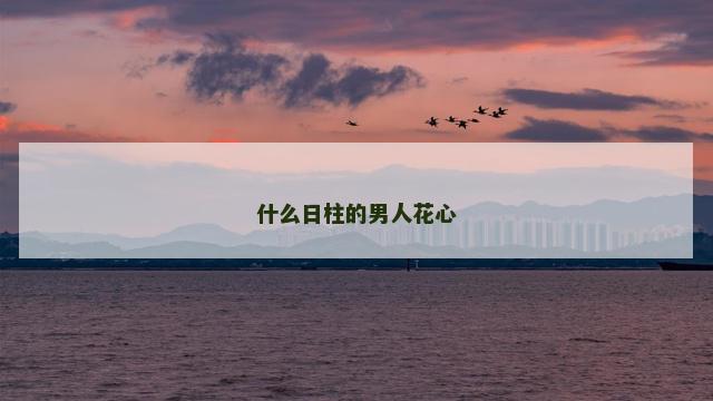 什么日柱的男人花心