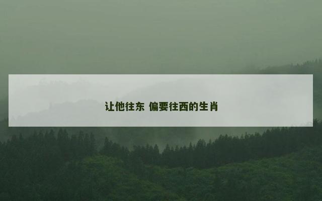 让他往东 偏要往西的生肖