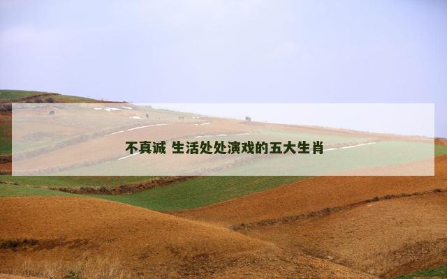 不真诚 生活处处演戏的五大生肖