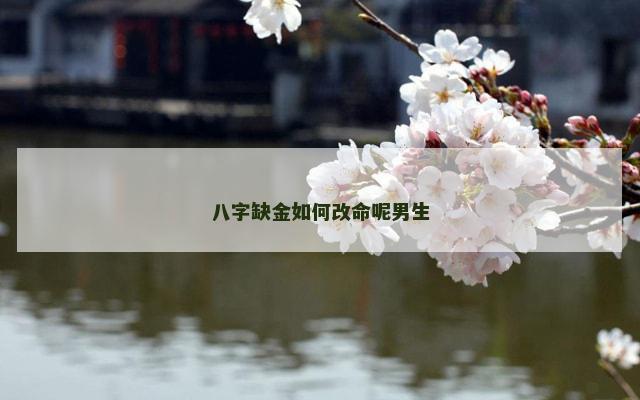 八字缺金如何改命呢男生