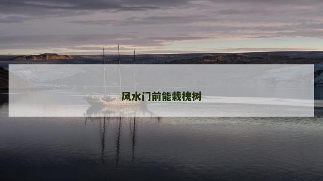 风水门前能栽槐树