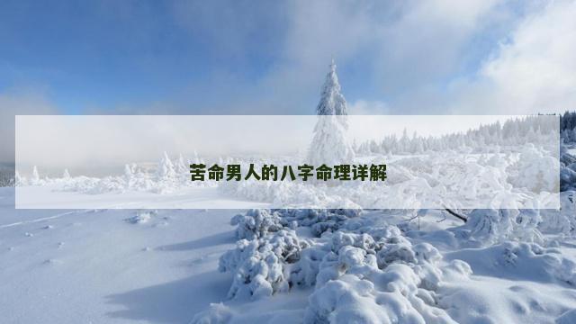 苦命男人的八字命理详解