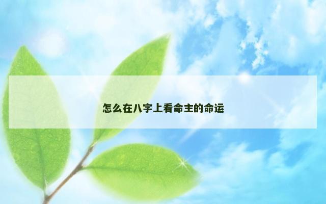 怎么在八字上看命主的命运