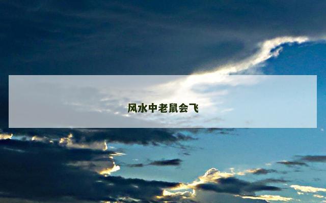 风水中老鼠会飞