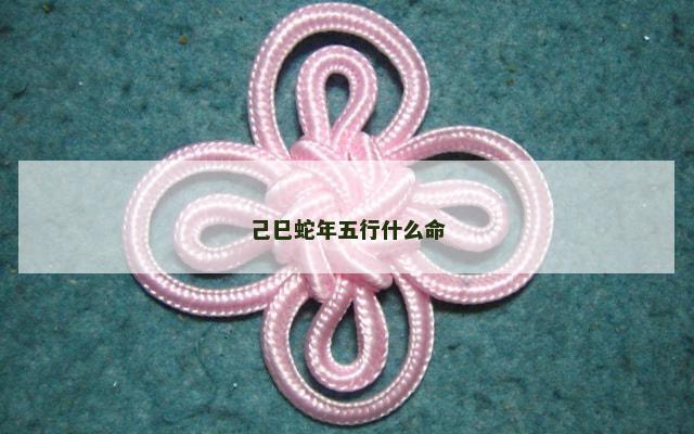 己巳蛇年五行什么命