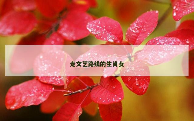 走文艺路线的生肖女