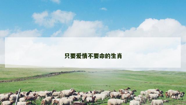 只要爱情不要命的生肖
