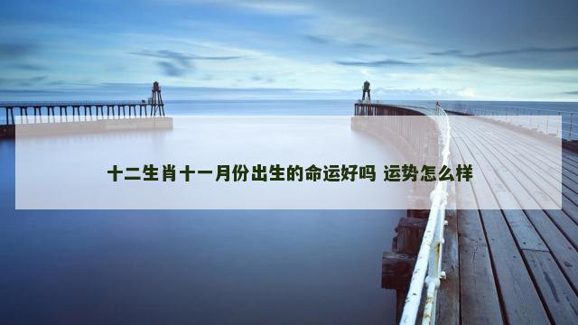 十二生肖十一月份出生的命运好吗 运势怎么样