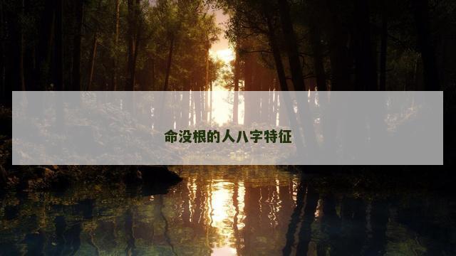 命没根的人八字特征