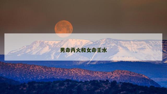 男命丙火和女命壬水