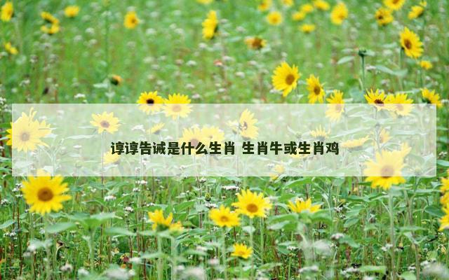 谆谆告诫是什么生肖 生肖牛或生肖鸡