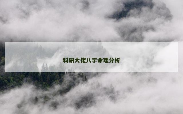 科研大佬八字命理分析