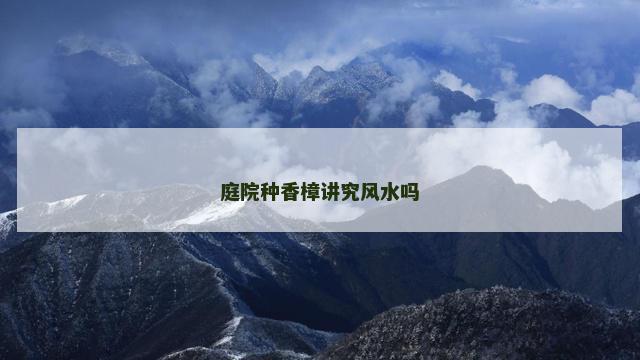 庭院种香樟讲究风水吗