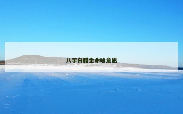 八字白腊金命啥意思