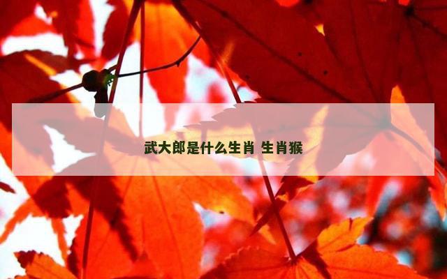 武大郎是什么生肖 生肖猴