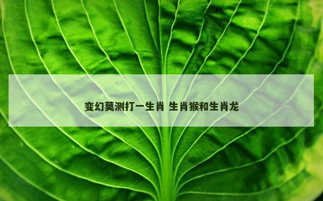 变幻莫测打一生肖 生肖猴和生肖龙